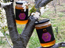 Load image into Gallery viewer, HIGHLAND ASTRAGALUS HONEY - RAW
